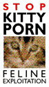 STOP KITTY PORN